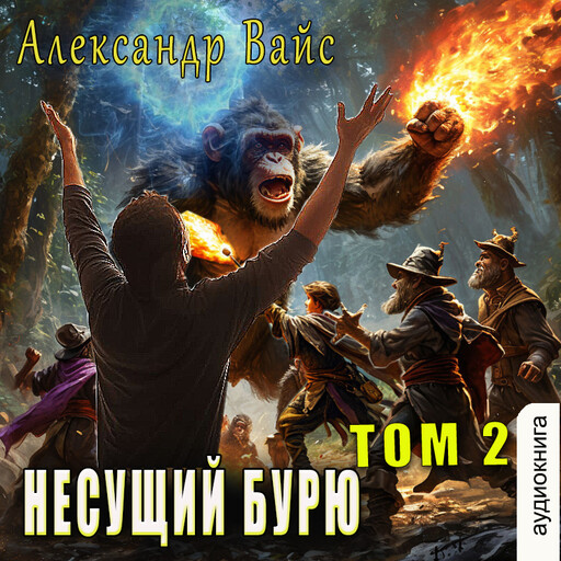 Несущий бурю. Том 2