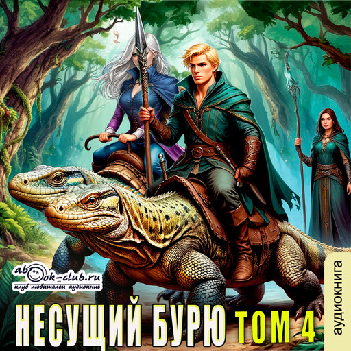 Несущий бурю. Том 4