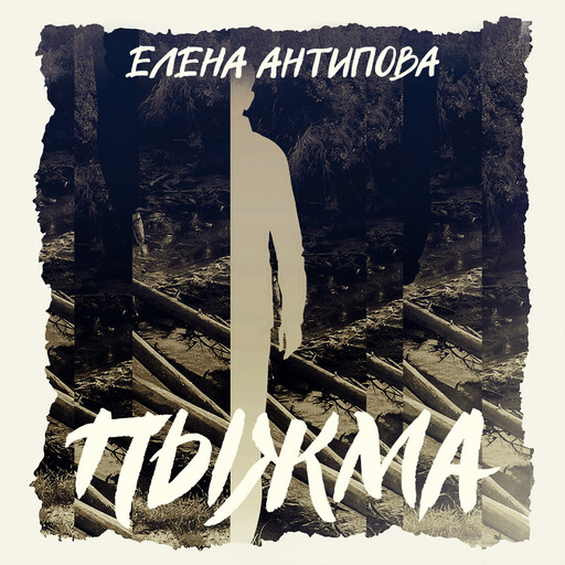 Пыжма