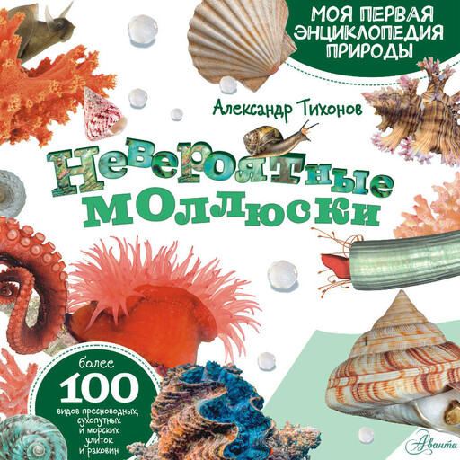 Невероятные моллюски