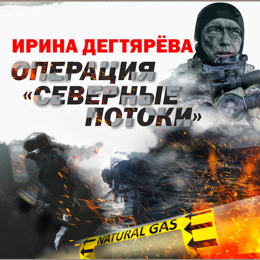 Операция "Северные потоки", Ирина Дегтярева