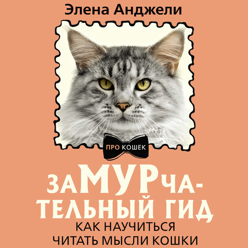 ЗаМУРчательный гид. Как научиться читать мысли кошки