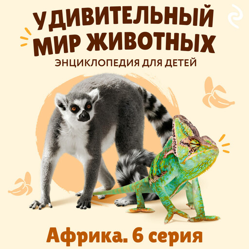 Удивительный мир животных. Африка. Серия 6