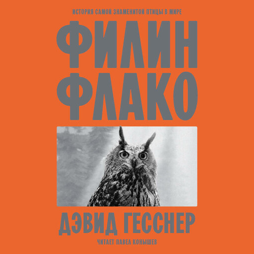 Филин Флако: История самой знаменитой птицы в мире