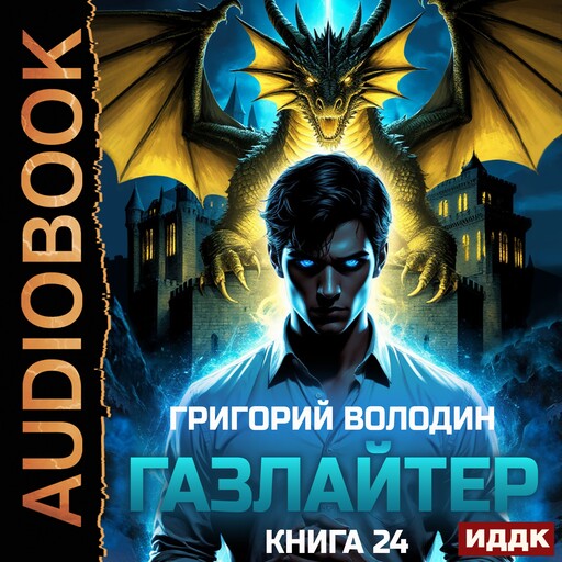 Газлайтер. Книга 24