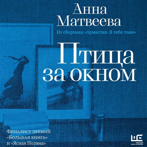 Птица за окном
