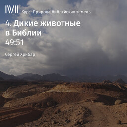 Природа библейских земель (курс Сергея Хрибара)
