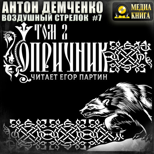 Воздушный стрелок. Опричник. Том 2. Серия «Воздушный стрелок». Книга 7