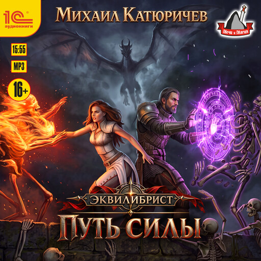 Эквилибрист. Путь силы