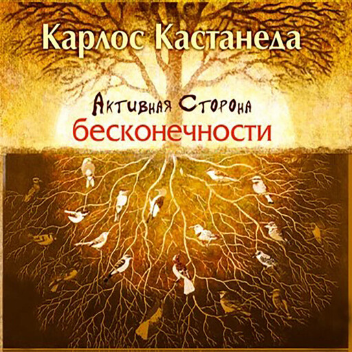 Активная сторона бесконечности