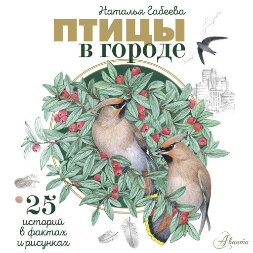 Птицы в городе. 25 историй в фактах