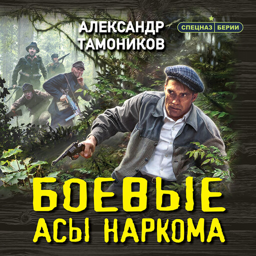 Боевые асы наркома, Александр Тамоников