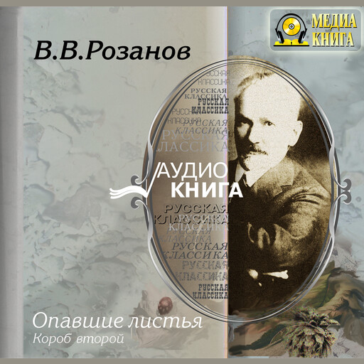 Опавшие листья. Короб второй