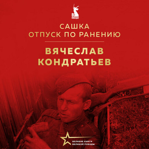 Сашка. Отпуск по ранению