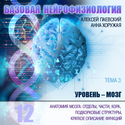 Анатомия мозга: отделы, части, кора, подкорковые структуры, краткое описание функций., Алексей Паевский, Анна Хоружая