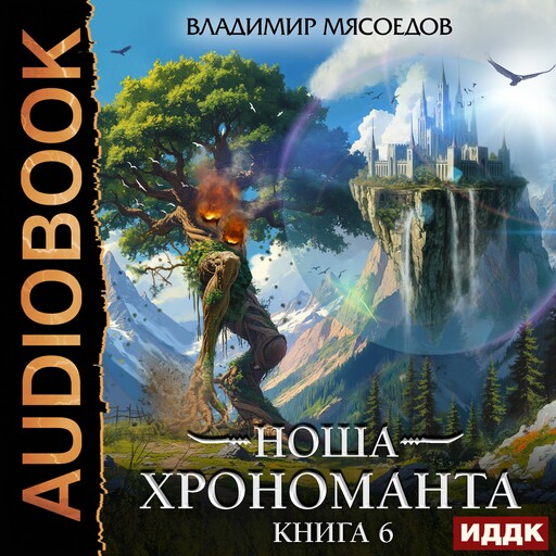 Ноша Хрономанта. Книга 6