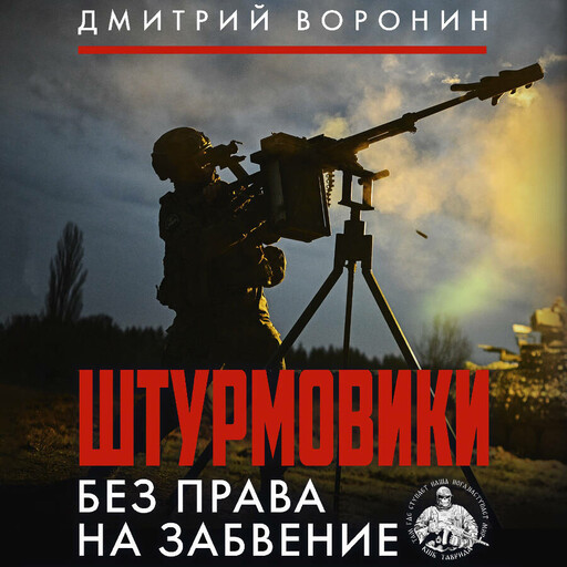 Штурмовики. Без права на забвение