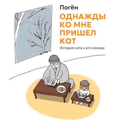 Однажды ко мне пришел кот