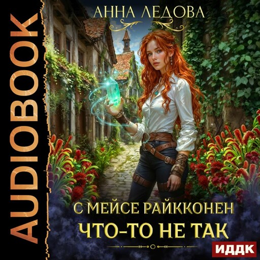 С мейсе Райкконен что-то не так