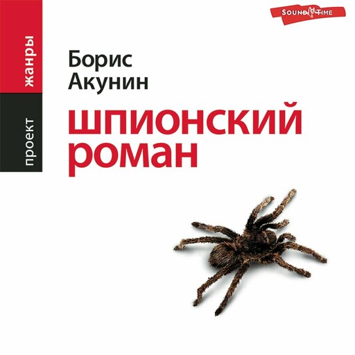 Шпионский роман, Борис Акунин