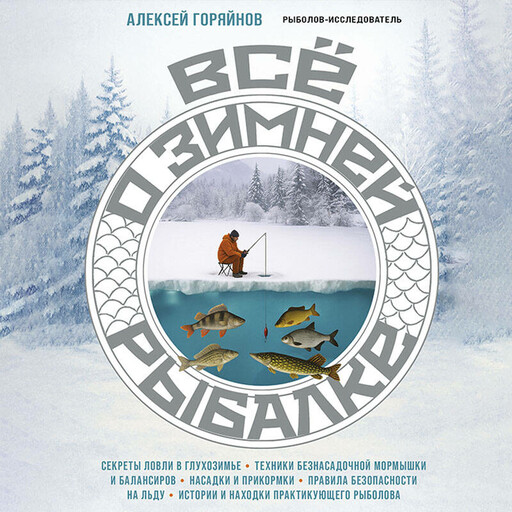 Все о зимней рыбалке
