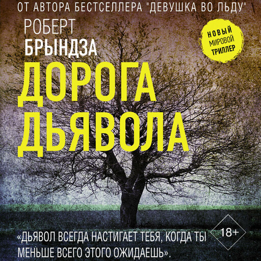 Дорога дьявола, Роберт Брындза