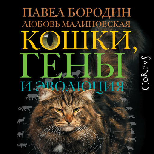 Кошки, гены и эволюция