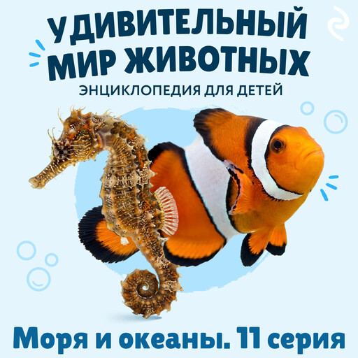 Удивительный мир животных. Моря и океаны. Серия 11