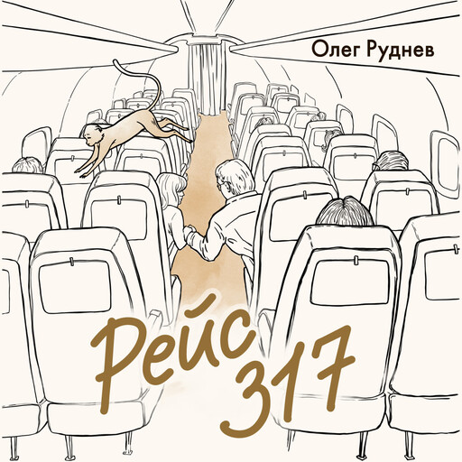 Рейс 317