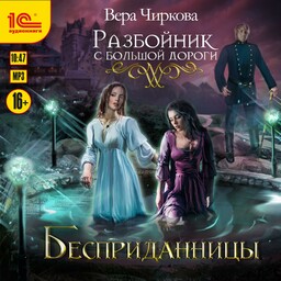 Разбойник с большой дороги