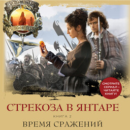 Стрекоза в янтаре