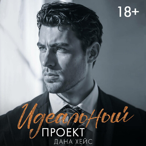 Идеальный проект