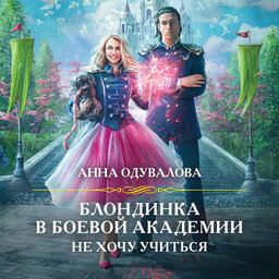 Боевая Академия