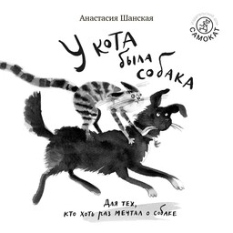 Кот прямо с неба