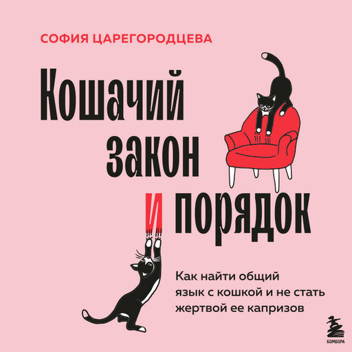 Кошачий закон и порядок. Как найти общий язык с кошкой и не стать жертвой ее капризов