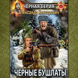 «Чёрный» цикл