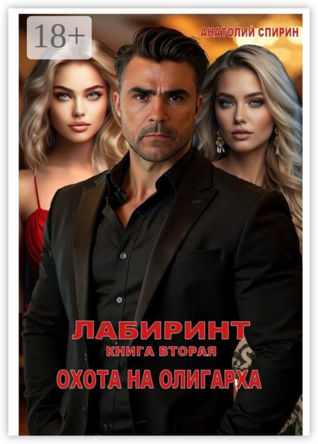 Лабиринт. Книга вторая. Охота на олигарха