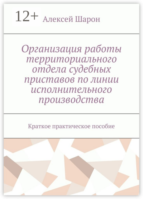 Организация работы территориального отдела судебных приставов по линии исполнительного производства. Краткое практическое пособие