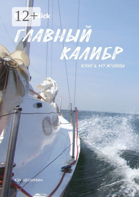 Главный калибр. Книга мужчины, PaRusNick
