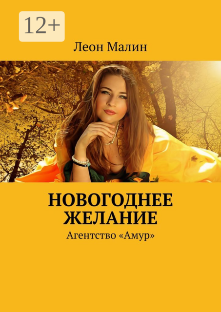 Новогоднее желание. Агентство «Амур»