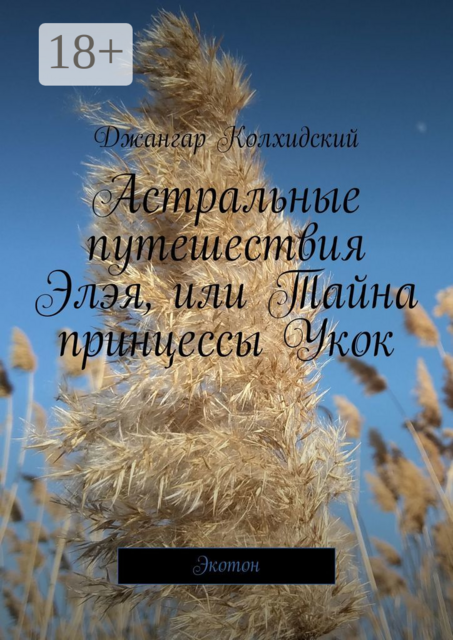 Астральные путешествия Элэя, или Тайна принцессы Укок. Экотон