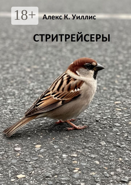 Стритрейсеры