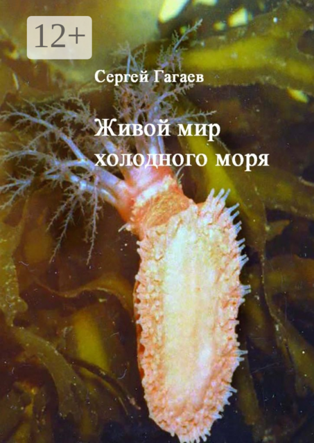 Живой мир холодного моря