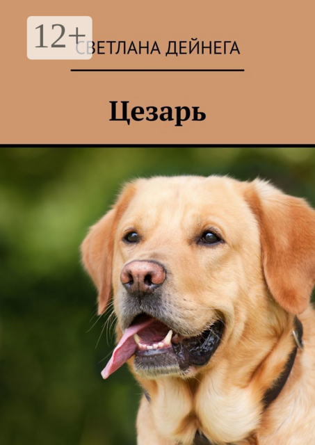 Цезарь. В поисках хозяина