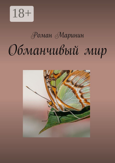 Обманчивый мир, Роман Маринин