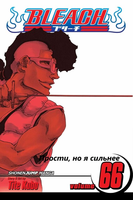 Блич. Том 66. Прости, но я сильнее