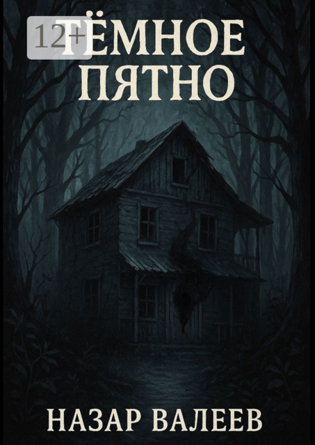 Темное пятно, Назар Валеев