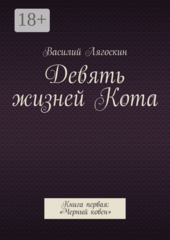 Девять жизней Кота
