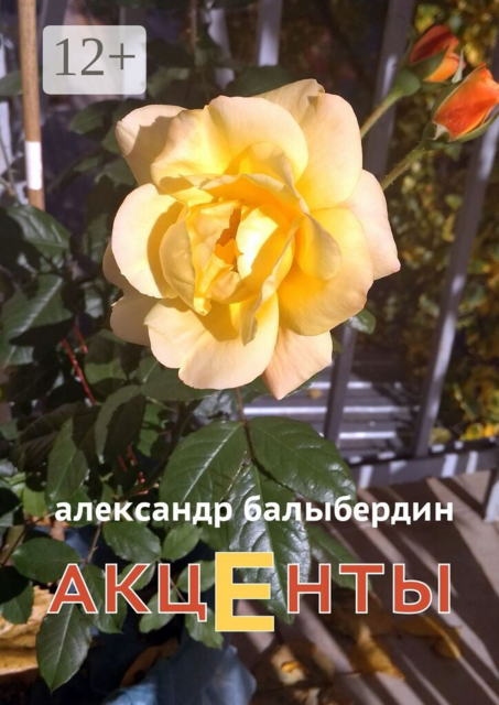 Акценты. Книга о самом дорогом