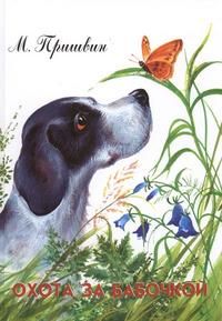 Охота за бабочкой